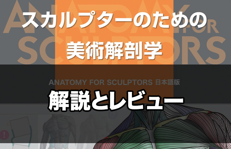 スカルプターのための美術解剖学レビュー 絵のアウトプットに特化した本 スーツを着たアーティストのブログ